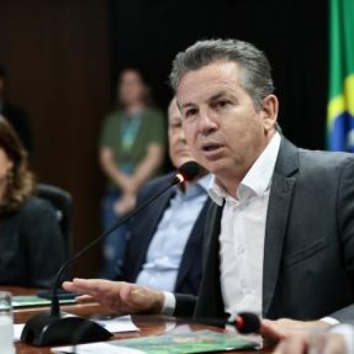 Mauro admite falha em monitoramento e promete melhorias após desmatamento no Pantanal
